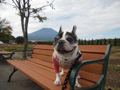 富士山とリサ