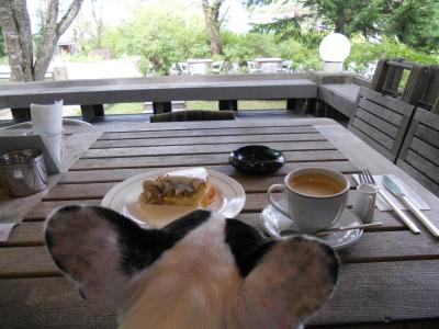 バナナカスタードパイを食べた