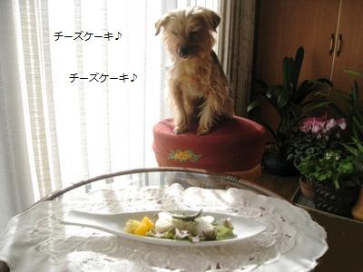120327-6ftjpg.jpg