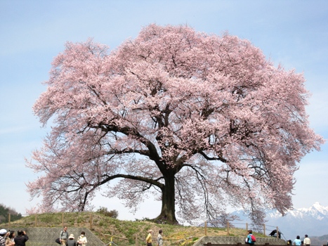120413wanizuka3a.jpg