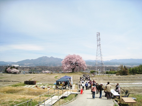 120413waqnizuka.jpg