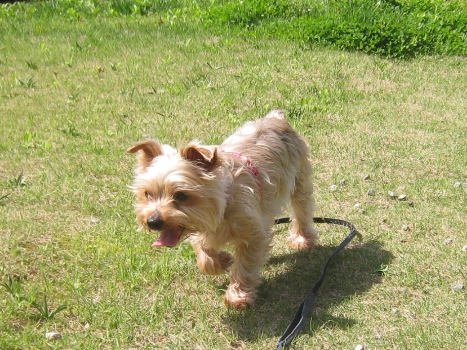120428-riki1.jpg