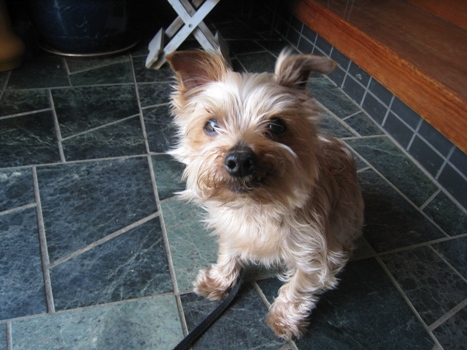 120428-riki2.jpg