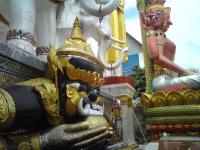 DSC00137.jpg