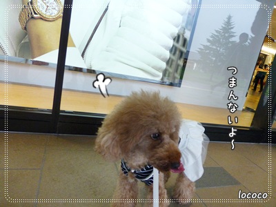 ホテル3