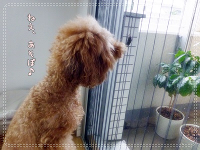 むし3