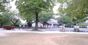 ラジオ体操 20130420
