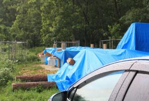 雨が降り出した! 20130702