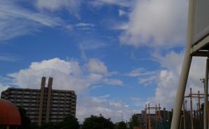 公園からの空 20130707