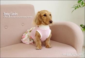 春のワンピース2012