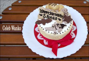 珊瑚ちゃんのお誕生日会