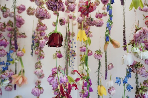 Chelser Flower Show 13_10
