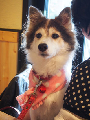 20131202 (3)