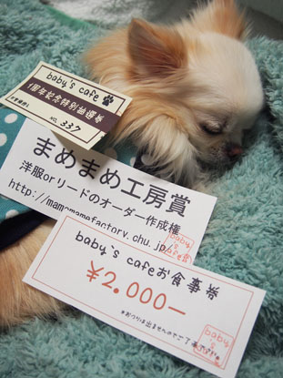 20131202 (12)