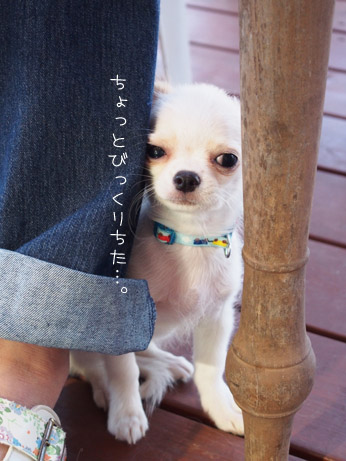 20140914 (19)
