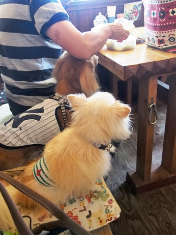 20140916 (4)