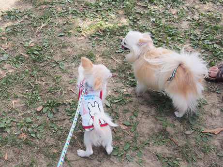 20140916 (12)