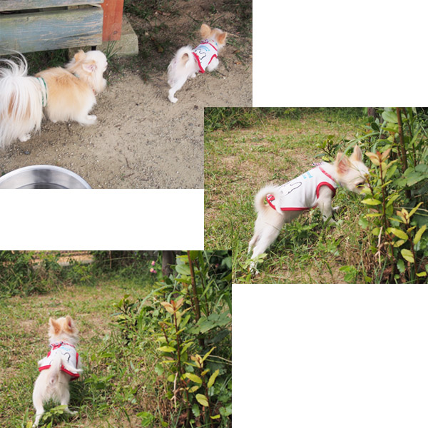 20140916 (20)