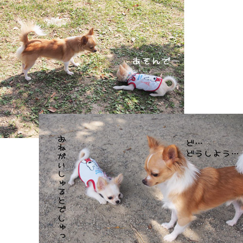 20140916 (8)