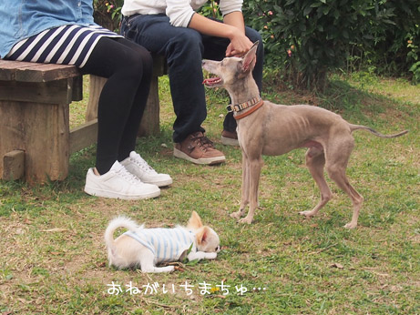 20140921 (3)
