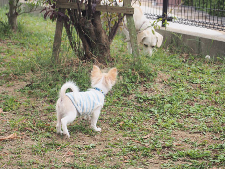 20140921 (13)