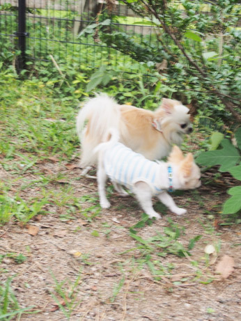20140921 (19)