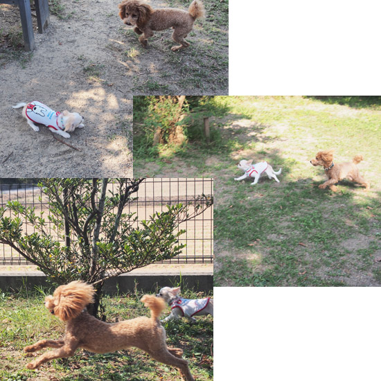 20140928 (3)