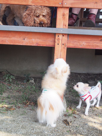 20140928 (6)
