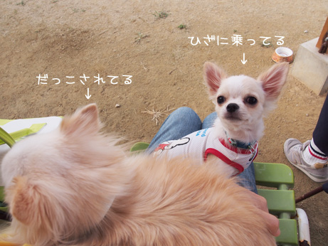 20141004 (20)