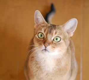 110925_9.jpg