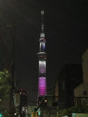 IMG_0078.jpg
