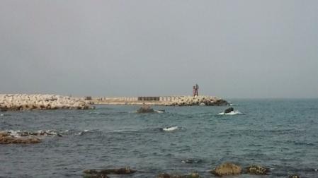 IMG_0353.jpg