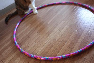 IMG_5760_convert_20130408193810-1.jpg