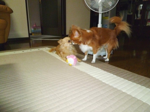 003_20140913025412516.jpg