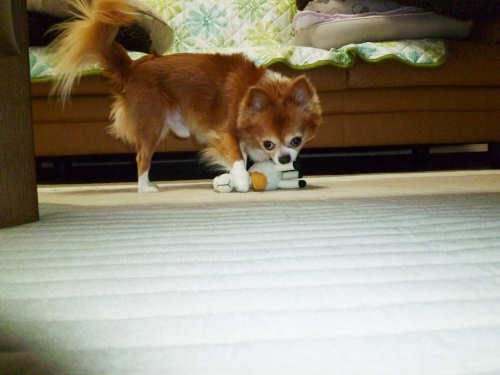 004_20140913025411368.jpg