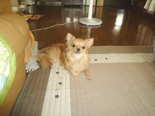005_201409130246263e9.jpg