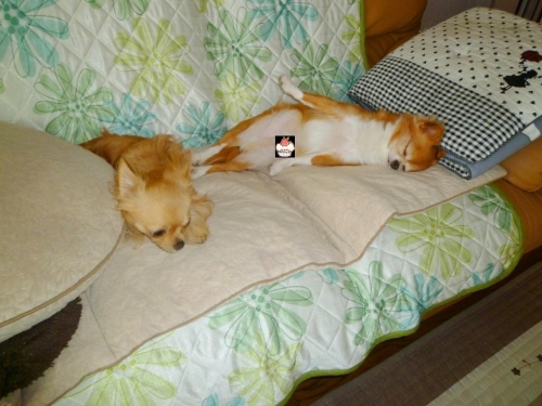 005_20140930172200de0.jpg