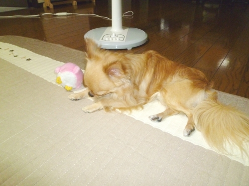 008_201409132346307d3.jpg
