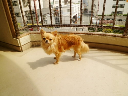 008_2014092421565768e.jpg