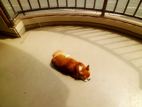 009_20140925032034505.jpg