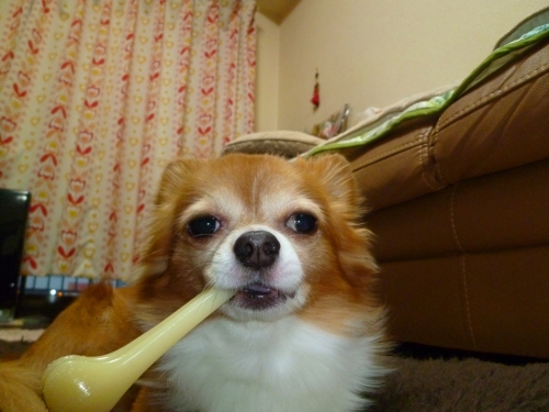 019_20140926224653e12.jpg