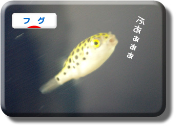 クリックしてね
