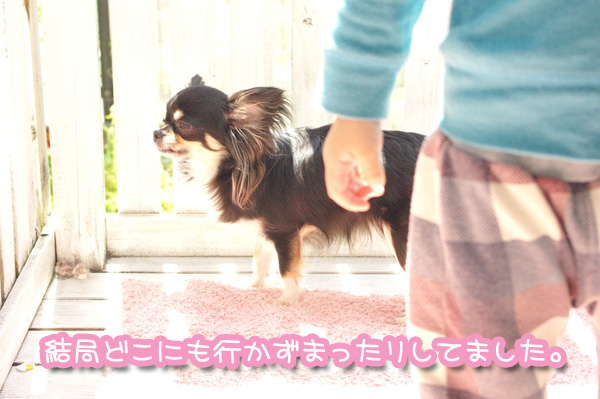 13050602.jpg