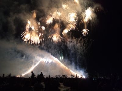 浦安市花火大会2011~富士山~