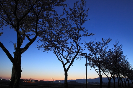 0415-001.jpg