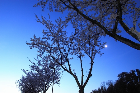 0415-002.jpg