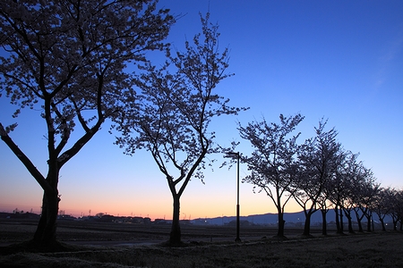 0415-003.jpg