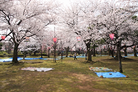 0415-040.jpg