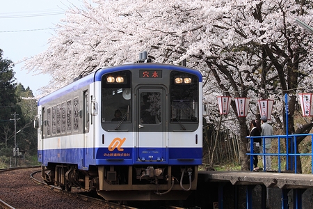 0420-017.jpg