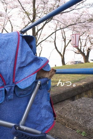 0420-024.jpg